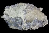Purple/Gray Fluorite Cluster - Marblehead Quarry Ohio #81191-2